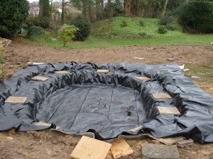 isle of wight pond building