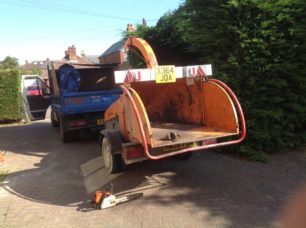 IOW Tree Work and Stump Removal Isle of Wight Tree Surgeons